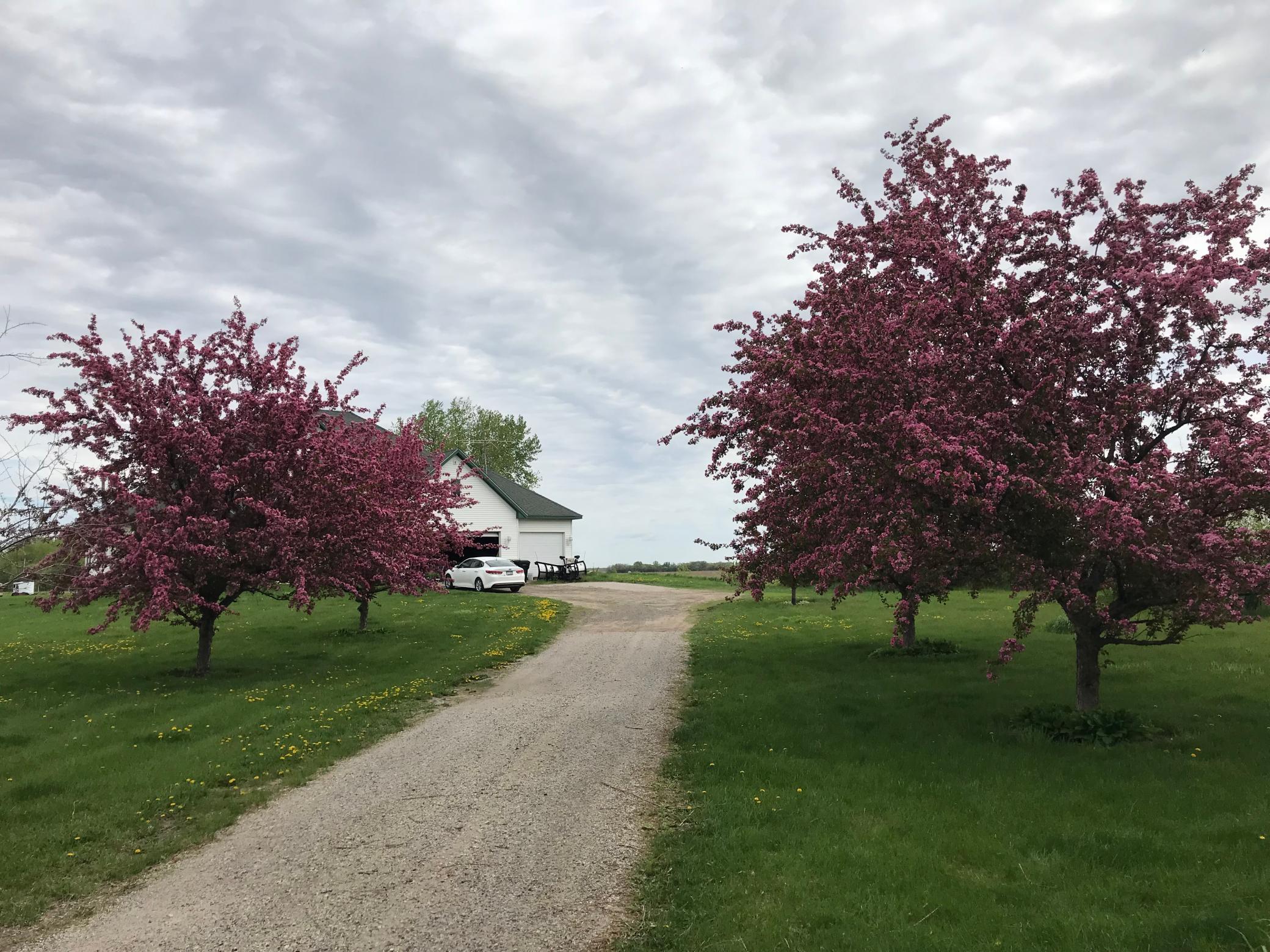 View of Residential at 17672 County Road 14, Big Lake MN 55309, Big Lake (37 of 59) - Mike Wilen | Minnesota Team Real Estate
