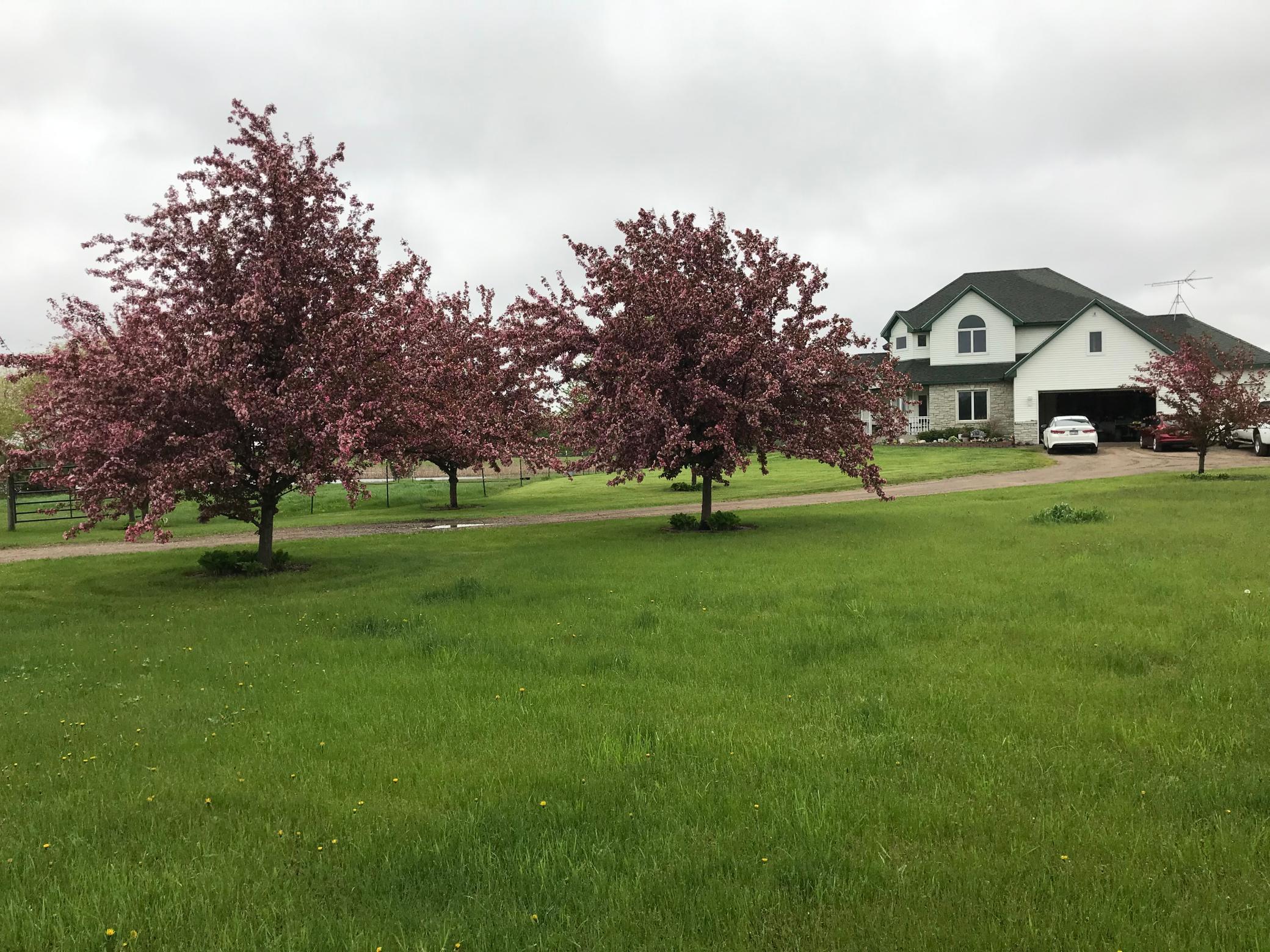 View of Residential at 17672 County Road 14, Big Lake MN 55309, Big Lake (36 of 59) - Mike Wilen | Minnesota Team Real Estate