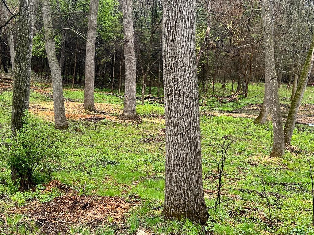 View of Land at 2195 Watertown Road, Orono MN 55356, Orono (6 of 20) - Mike Wilen | Minnesota Team Real Estate