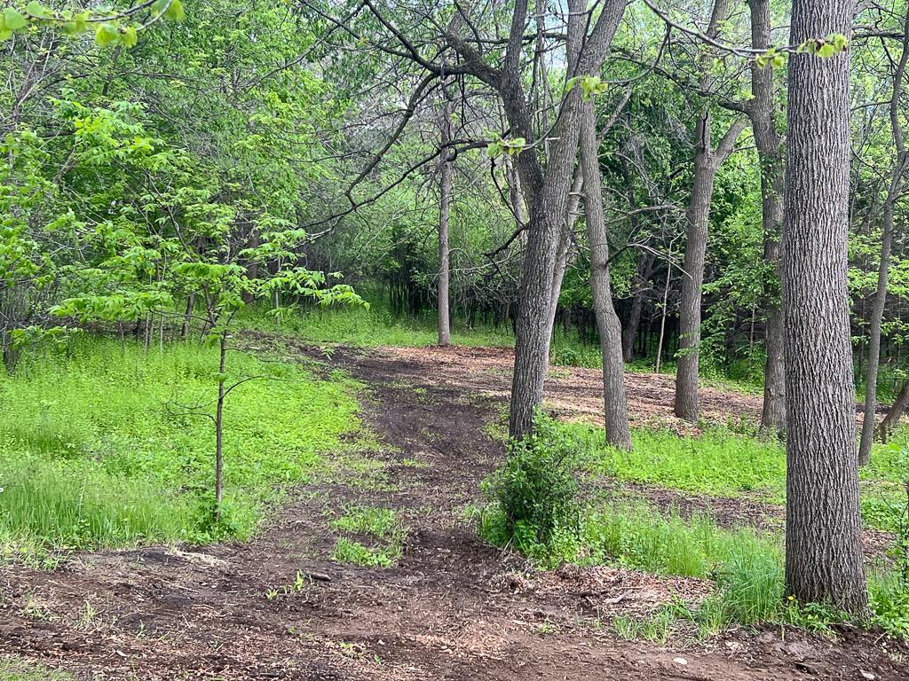 View of Land at 2195 Watertown Road, Orono MN 55356, Orono (7 of 20) - Mike Wilen | Minnesota Team Real Estate