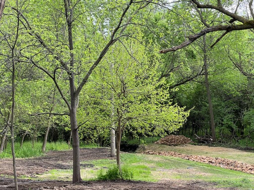 View of Land at 2195 Watertown Road, Orono MN 55356, Orono (8 of 20) - Mike Wilen | Minnesota Team Real Estate