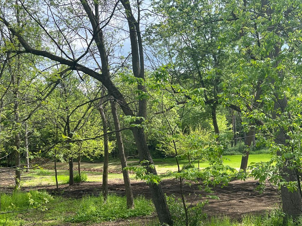 View of Land at 2195 Watertown Road, Orono MN 55356, Orono (9 of 20) - Mike Wilen | Minnesota Team Real Estate
