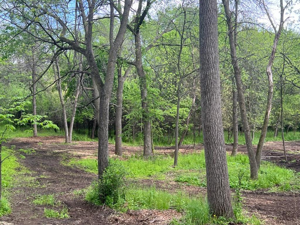 View of Land at 2195 Watertown Road, Orono MN 55356, Orono (10 of 20) - Mike Wilen | Minnesota Team Real Estate