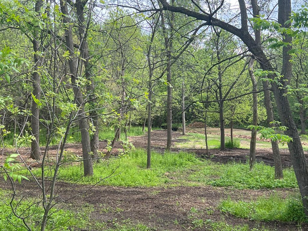 View of Land at 2195 Watertown Road, Orono MN 55356, Orono (11 of 20) - Mike Wilen | Minnesota Team Real Estate