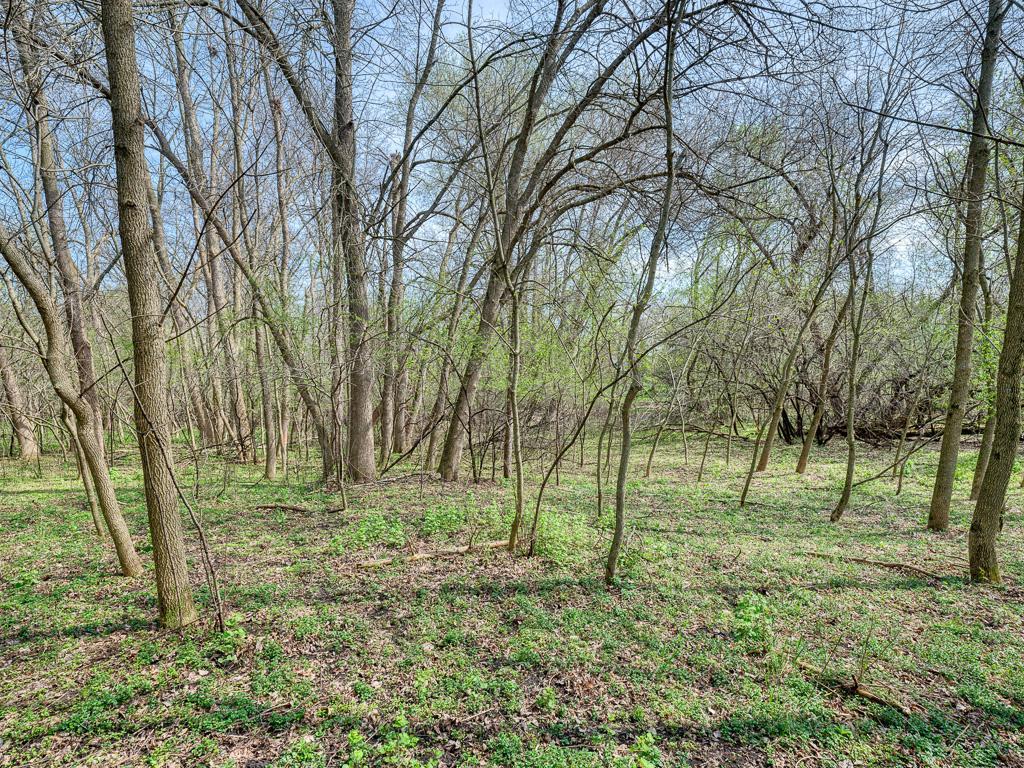 View of Land at 2195 Watertown Road, Orono MN 55356, Orono (13 of 20) - Mike Wilen | Minnesota Team Real Estate