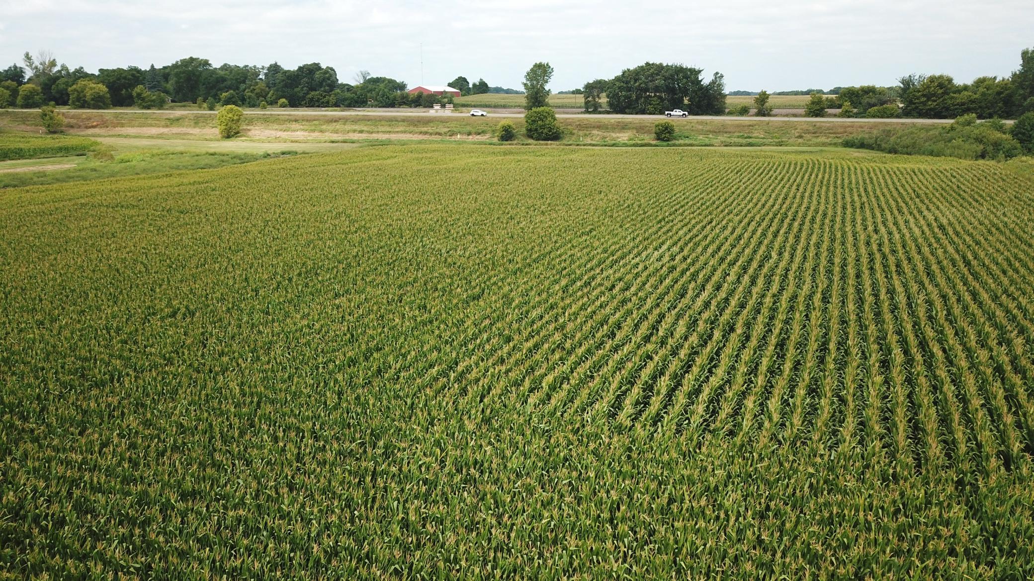 View of Land at TBD Hart Ave SW, Howard Lake MN 55349, Howard Lake (10 of 20) - Mike Wilen | Minnesota Team Real Estate