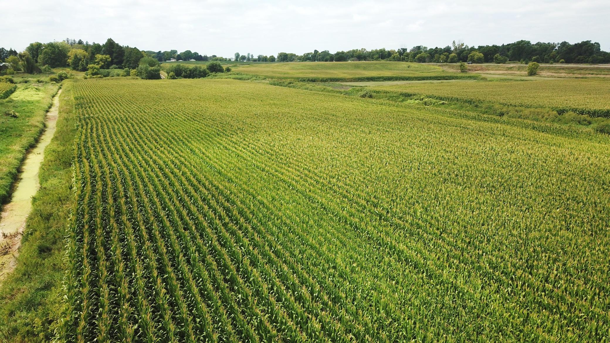View of Land at TBD Hart Ave SW, Howard Lake MN 55349, Howard Lake (9 of 20) - Mike Wilen | Minnesota Team Real Estate