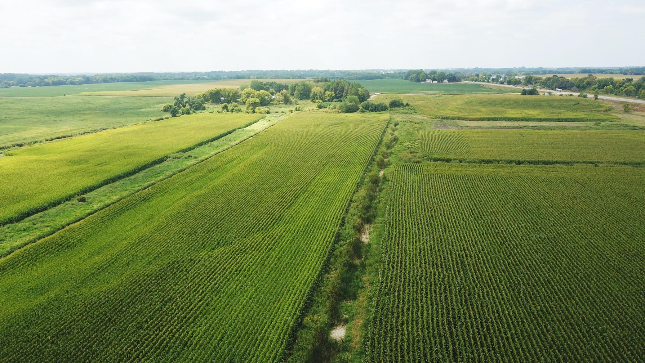 View of Land at TBD Hart Ave SW, Howard Lake MN 55349, Howard Lake (8 of 20) - Mike Wilen | Minnesota Team Real Estate