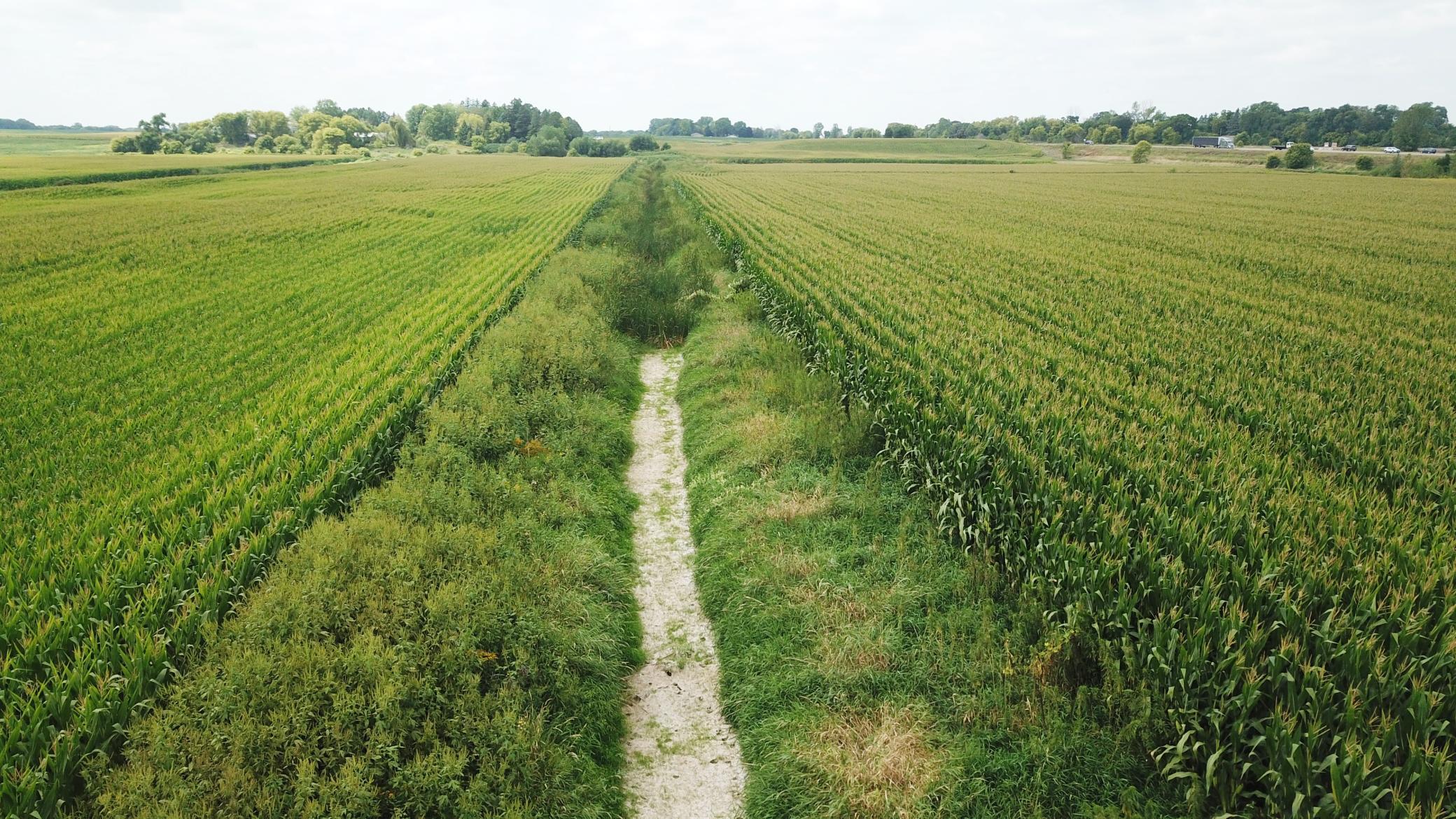 View of Land at TBD Hart Ave SW, Howard Lake MN 55349, Howard Lake (7 of 20) - Mike Wilen | Minnesota Team Real Estate