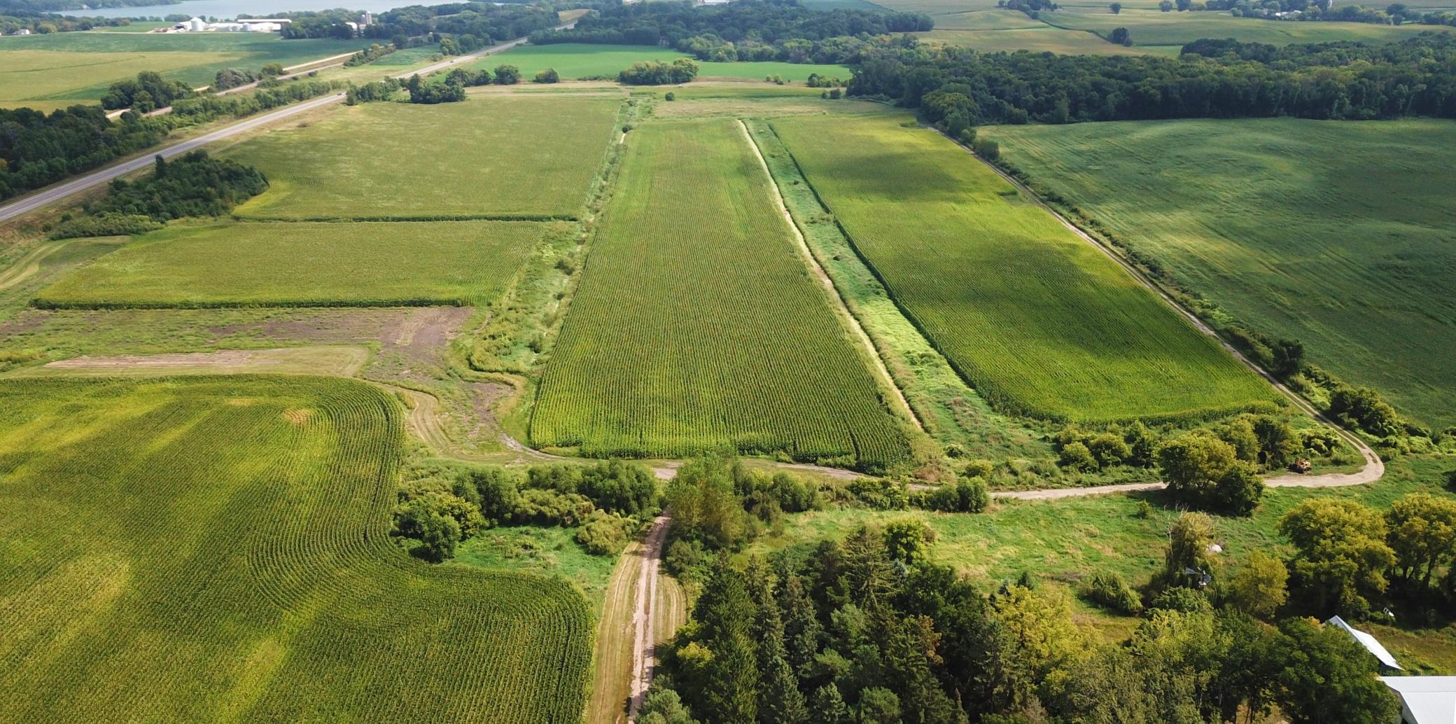 View of Land at TBD Hart Ave SW, Howard Lake - Mike Wilen | Minnesota Team Real Estate