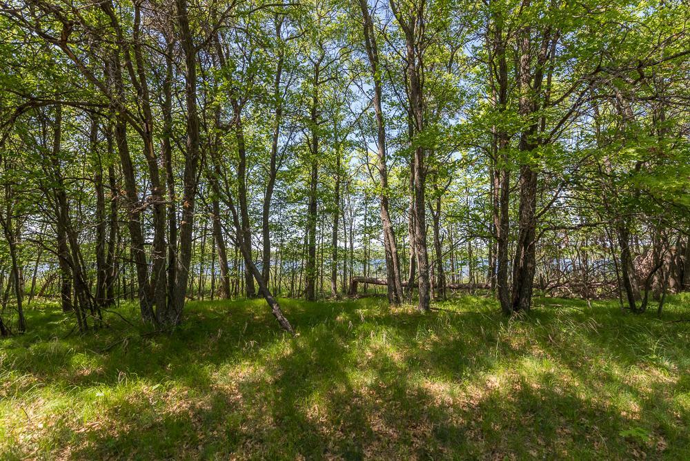 View of Land at TBD Sorenson Lake Rd., Merrifield MN 56465, Merrifield (22 of 26) - Mike Wilen | Minnesota Team Real Estate