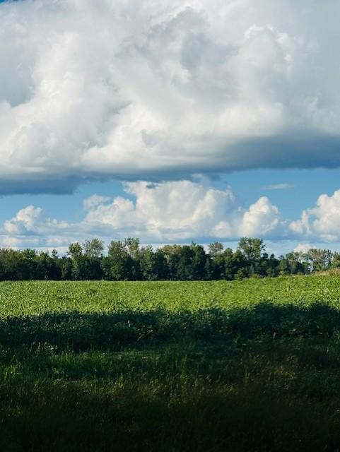 View of Land at 8XXX Rushseba Trail, Rush City MN 55069, Rush City - Mike Wilen | Minnesota Team Real Estate
