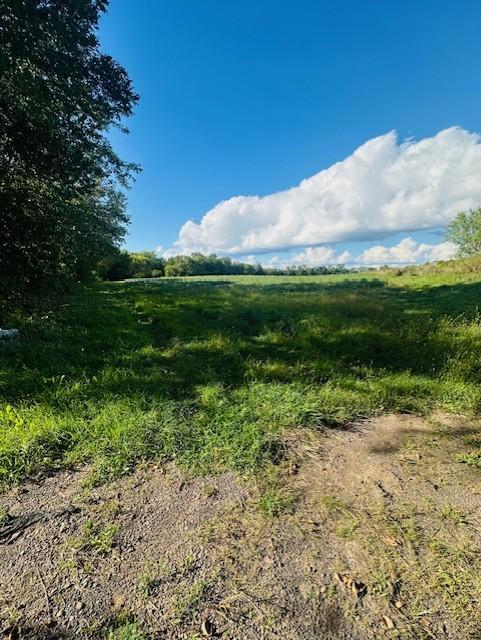 View of Land at 8XXX Rushseba Trail, Rush City MN 55069, Rush City (3 of 12) - Mike Wilen | Minnesota Team Real Estate