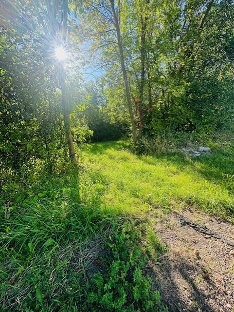 View of Land at 8XXX Rushseba Trail, Rush City MN 55069, Rush City (4 of 12) - Mike Wilen | Minnesota Team Real Estate