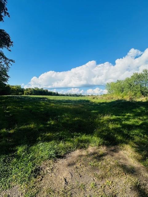 View of Land at 8XXX Rushseba Trail, Rush City MN 55069, Rush City (5 of 12) - Mike Wilen | Minnesota Team Real Estate