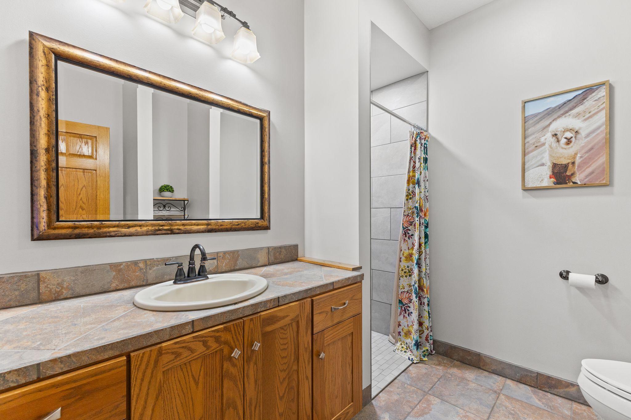 View of Residential at 12470 270th Street, Belle Plaine MN 56011, Belle Plaine (41 of 73) - Mike Wilen | Minnesota Team Real Estate