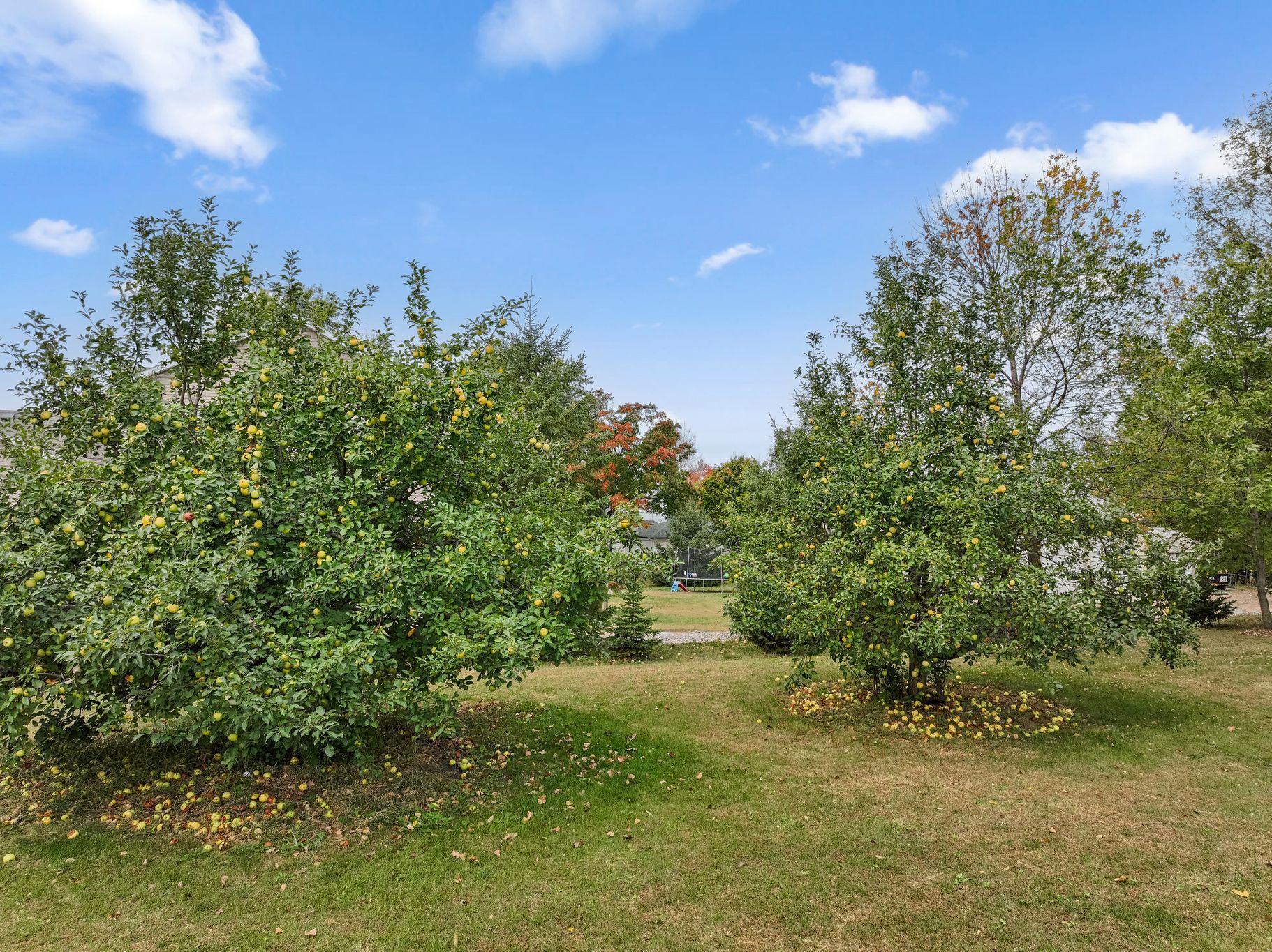 View of Residential at 12470 270th Street, Belle Plaine MN 56011, Belle Plaine (73 of 73) - Mike Wilen | Minnesota Team Real Estate