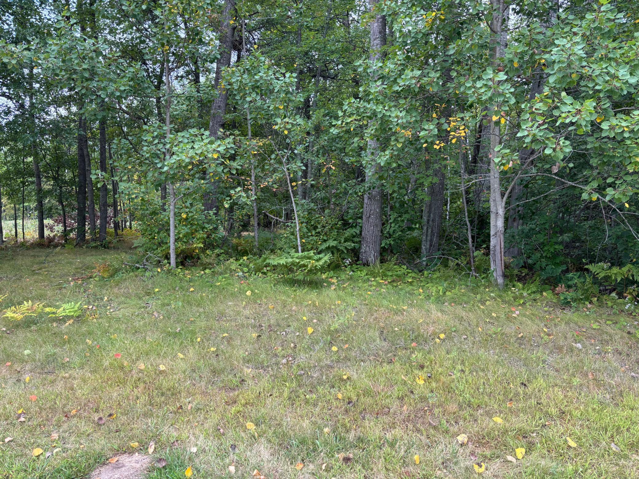 View of Land at Lot 77 Airport Road, Breezy Point MN 56472, Breezy Point - Mike Wilen | Minnesota Team Real Estate