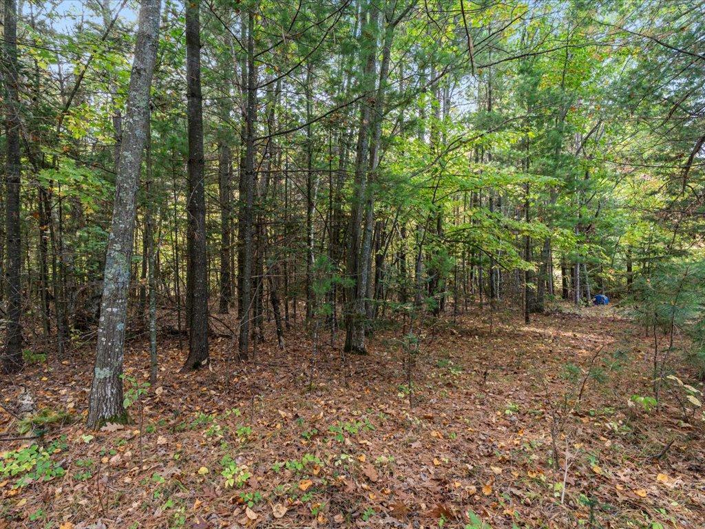 View of Land at LOT A State Hwy 18, Brainerd MN 56401, Brainerd (7 of 16) - Mike Wilen | Minnesota Team Real Estate