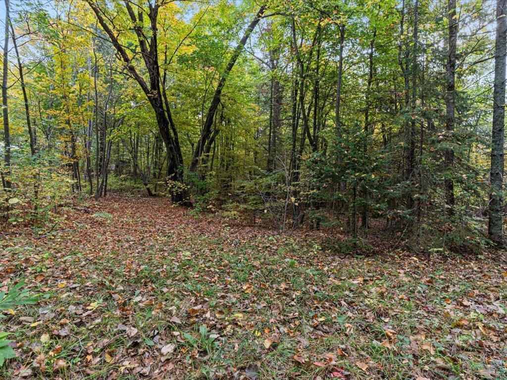 View of Land at LOT A State Hwy 18, Brainerd MN 56401, Brainerd (8 of 16) - Mike Wilen | Minnesota Team Real Estate