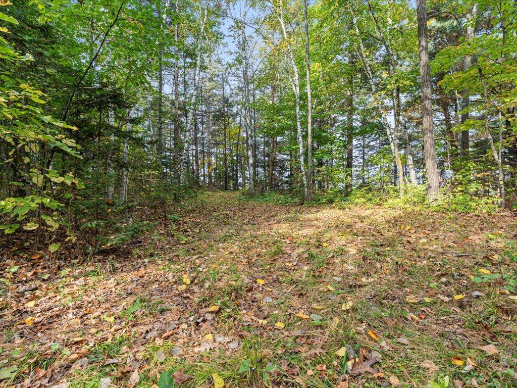 View of Land at LOT A State Hwy 18, Brainerd MN 56401, Brainerd (10 of 16) - Mike Wilen | Minnesota Team Real Estate