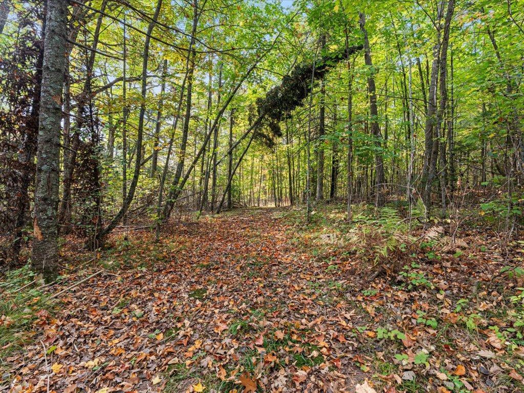 View of Land at LOT A State Hwy 18, Brainerd MN 56401, Brainerd (9 of 16) - Mike Wilen | Minnesota Team Real Estate