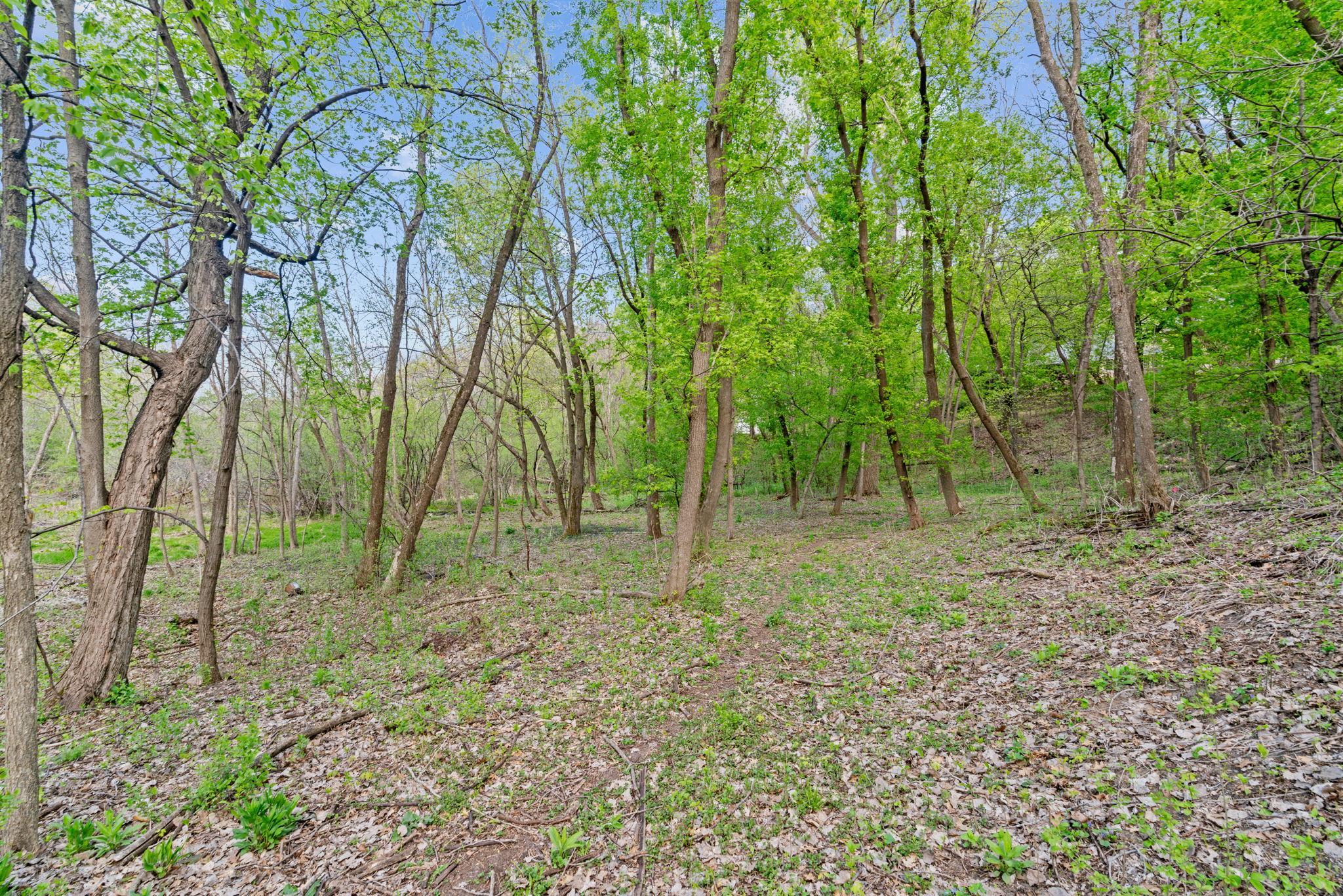 View of Land at 445 Bovey Road, Wayzata MN 55391, Wayzata (18 of 33) - Mike Wilen | Minnesota Team Real Estate