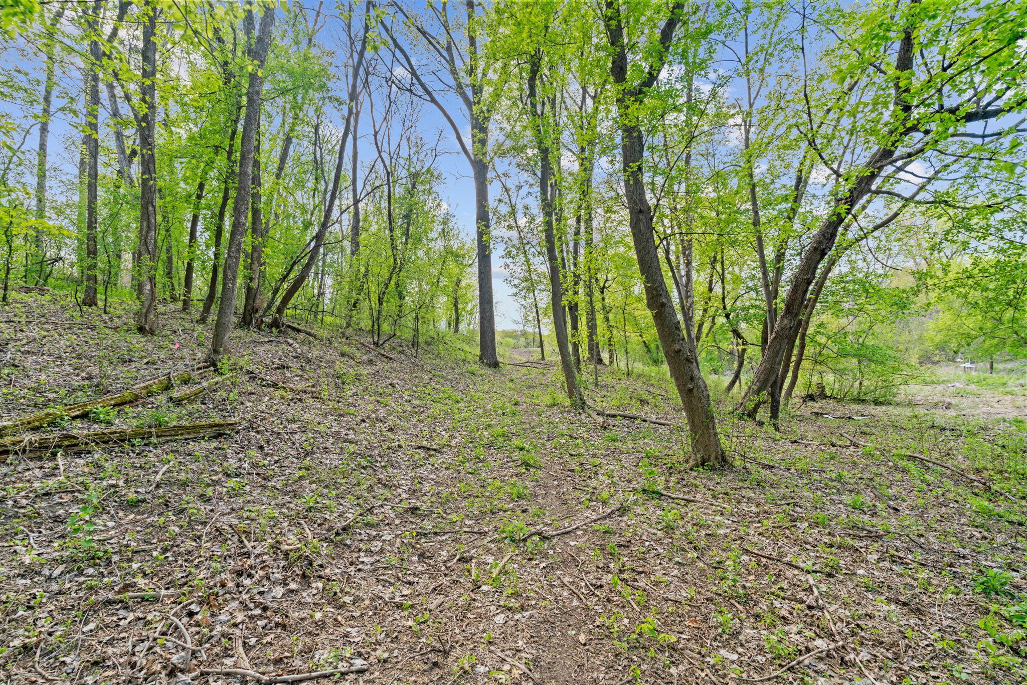 View of Land at 445 Bovey Road, Wayzata MN 55391, Wayzata (17 of 33) - Mike Wilen | Minnesota Team Real Estate