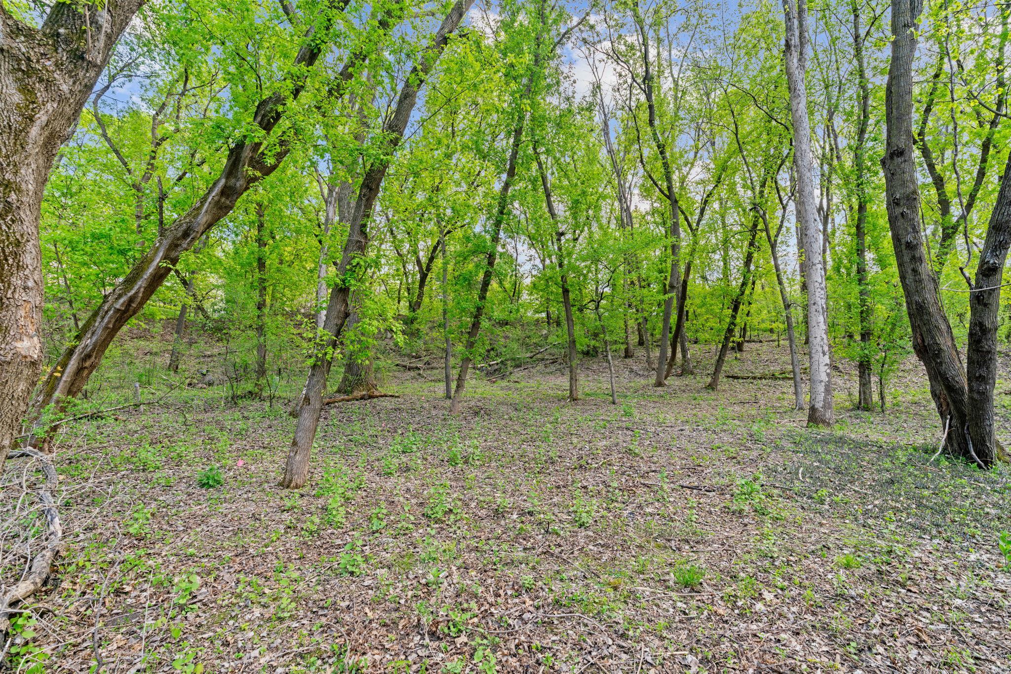 View of Land at 445 Bovey Road, Wayzata MN 55391, Wayzata (16 of 33) - Mike Wilen | Minnesota Team Real Estate