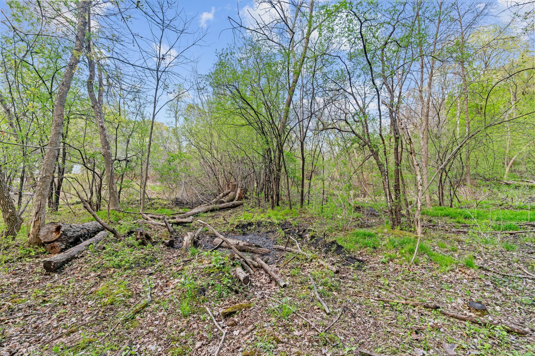 View of Land at 445 Bovey Road, Wayzata MN 55391, Wayzata (15 of 33) - Mike Wilen | Minnesota Team Real Estate