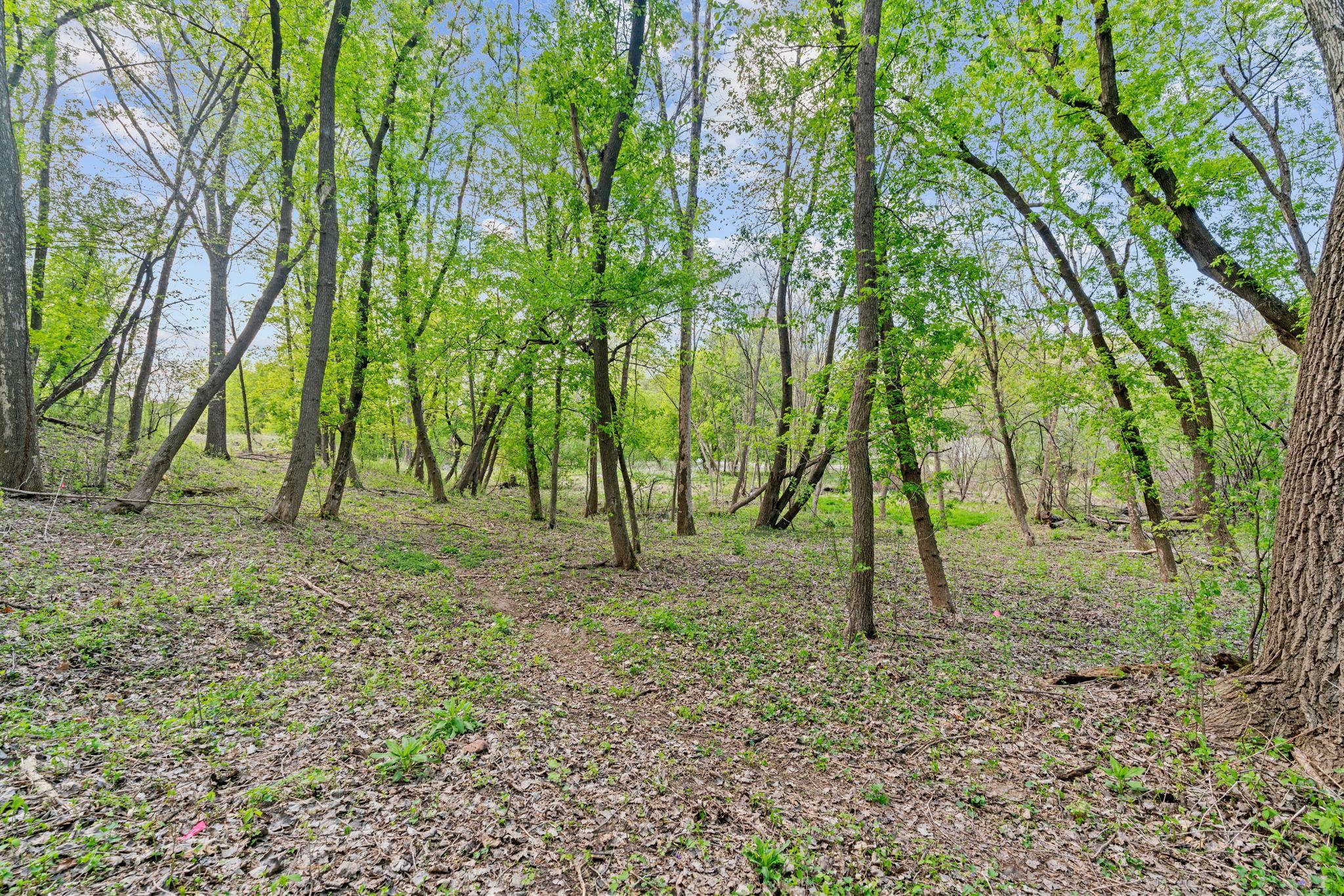 View of Land at 445 Bovey Road, Wayzata MN 55391, Wayzata (14 of 33) - Mike Wilen | Minnesota Team Real Estate