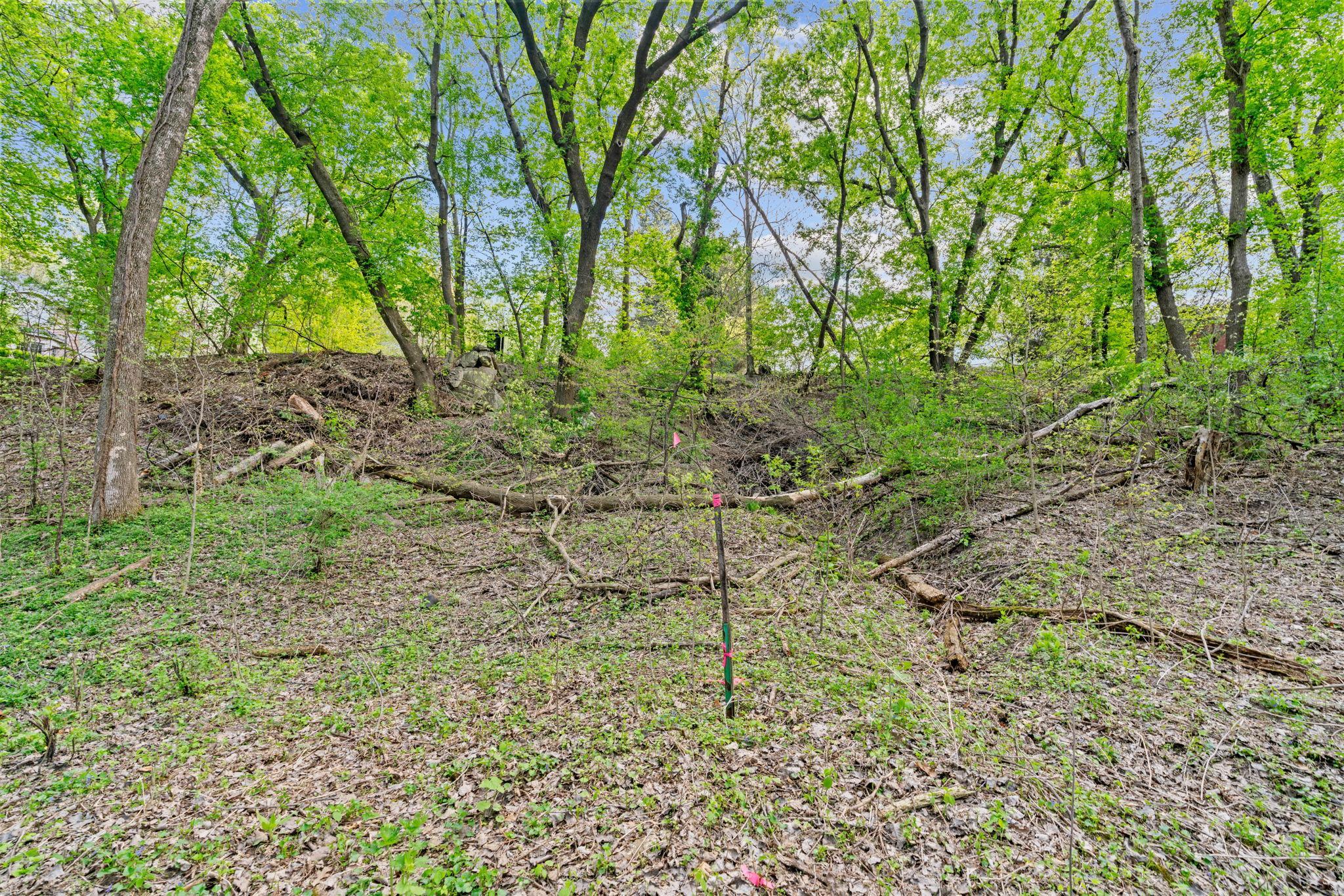 View of Land at 445 Bovey Road, Wayzata MN 55391, Wayzata (13 of 33) - Mike Wilen | Minnesota Team Real Estate
