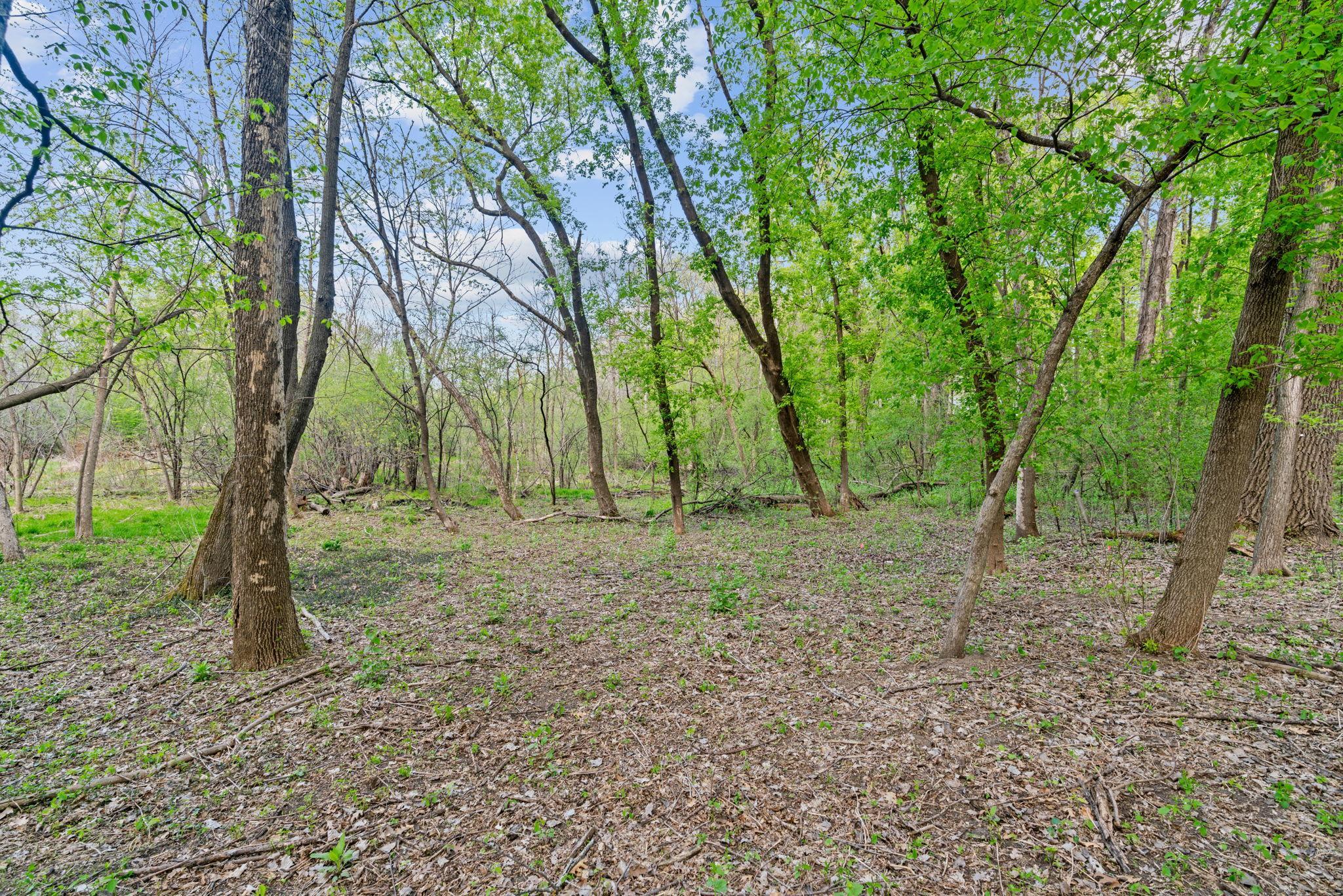 View of Land at 445 Bovey Road, Wayzata MN 55391, Wayzata (12 of 33) - Mike Wilen | Minnesota Team Real Estate