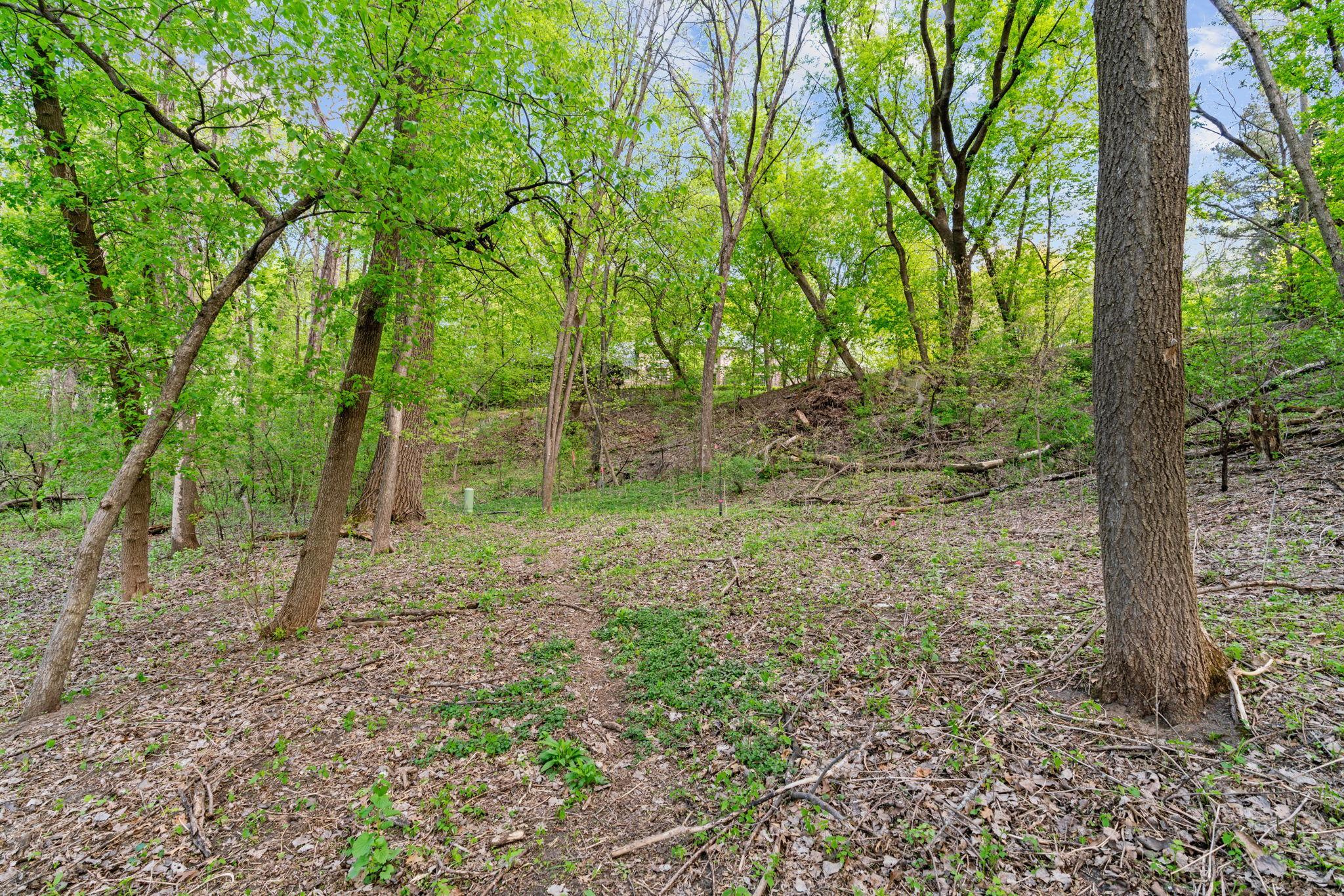View of Land at 445 Bovey Road, Wayzata MN 55391, Wayzata (11 of 33) - Mike Wilen | Minnesota Team Real Estate