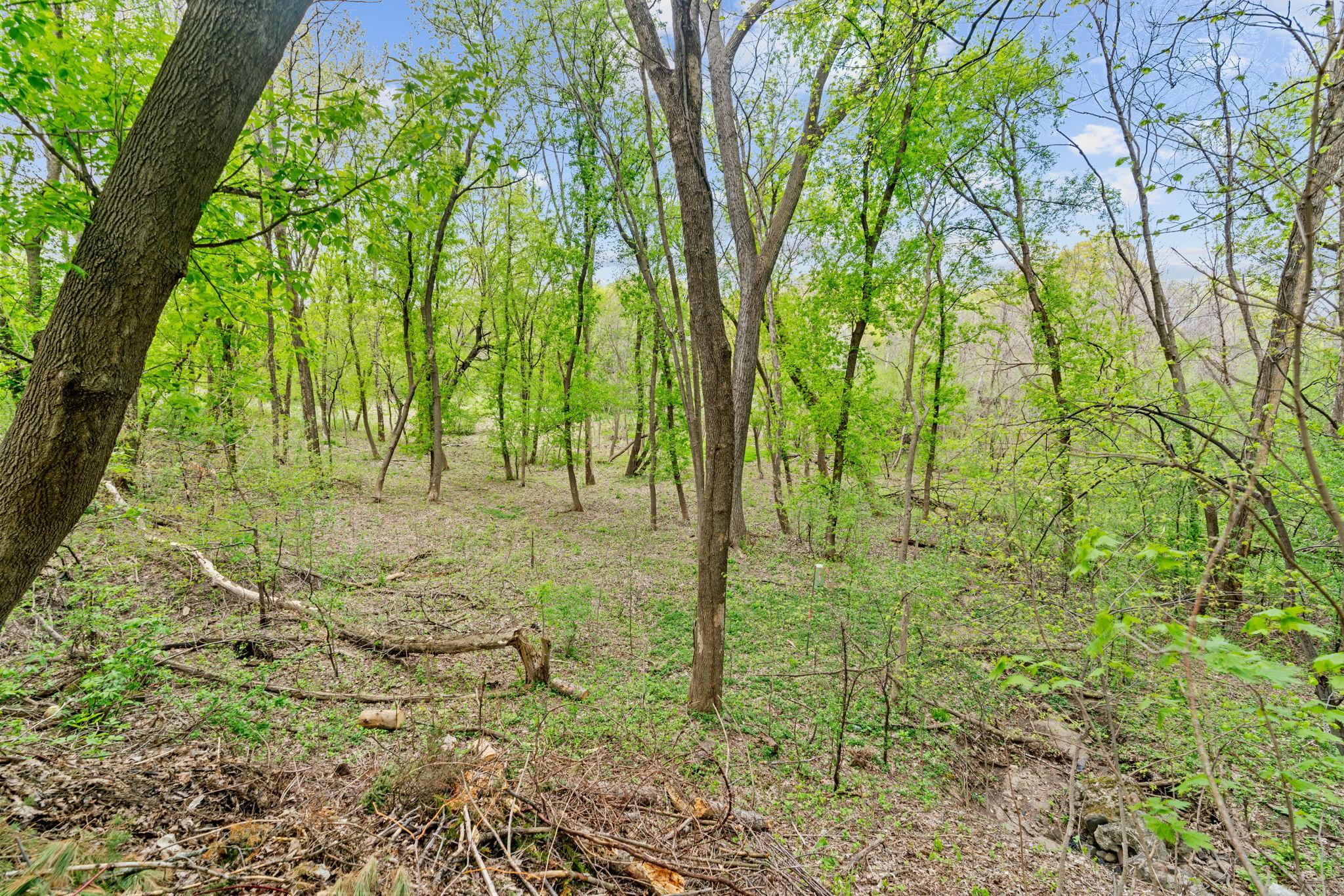 View of Land at 445 Bovey Road, Wayzata MN 55391, Wayzata (10 of 33) - Mike Wilen | Minnesota Team Real Estate