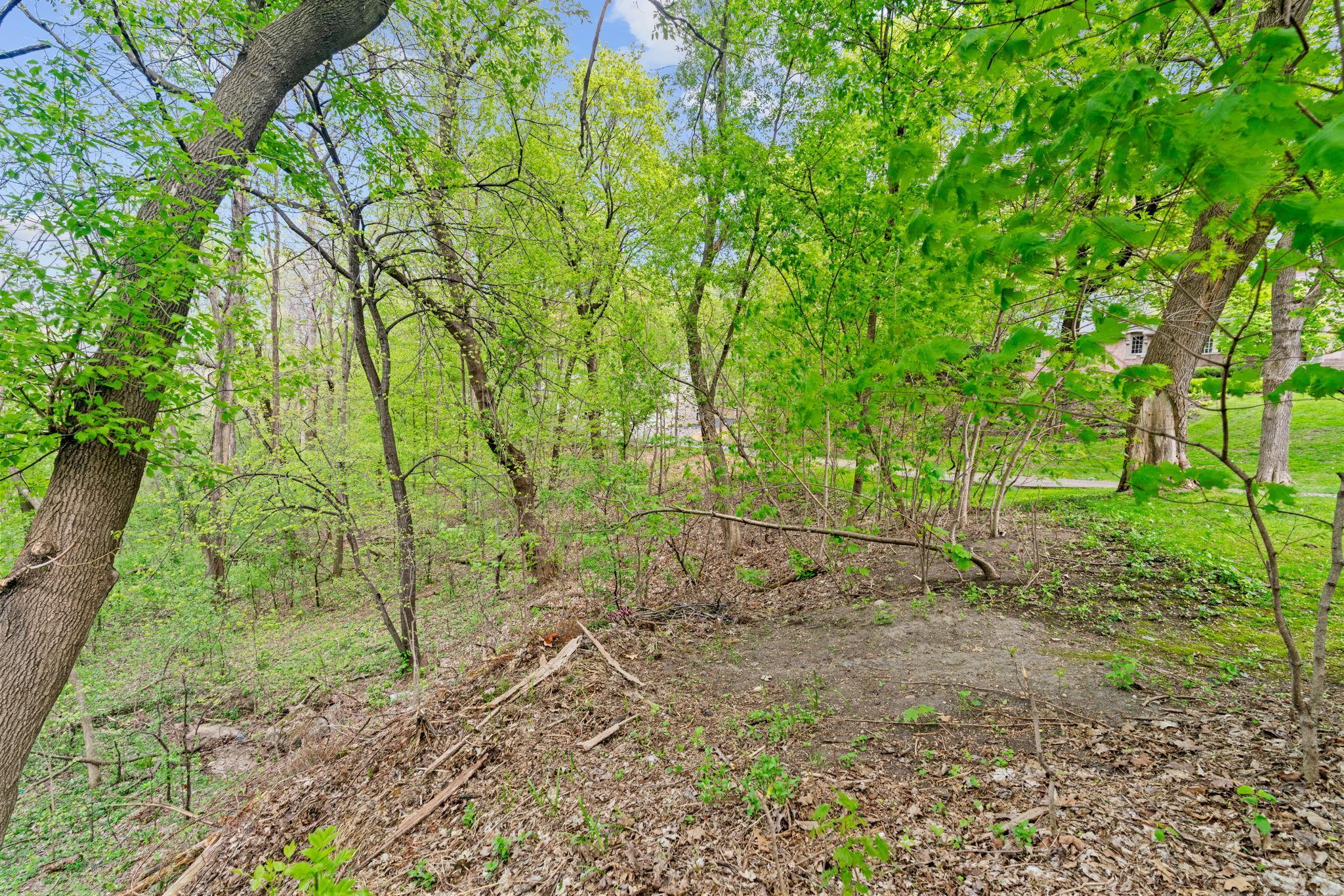 View of Land at 445 Bovey Road, Wayzata MN 55391, Wayzata (9 of 33) - Mike Wilen | Minnesota Team Real Estate