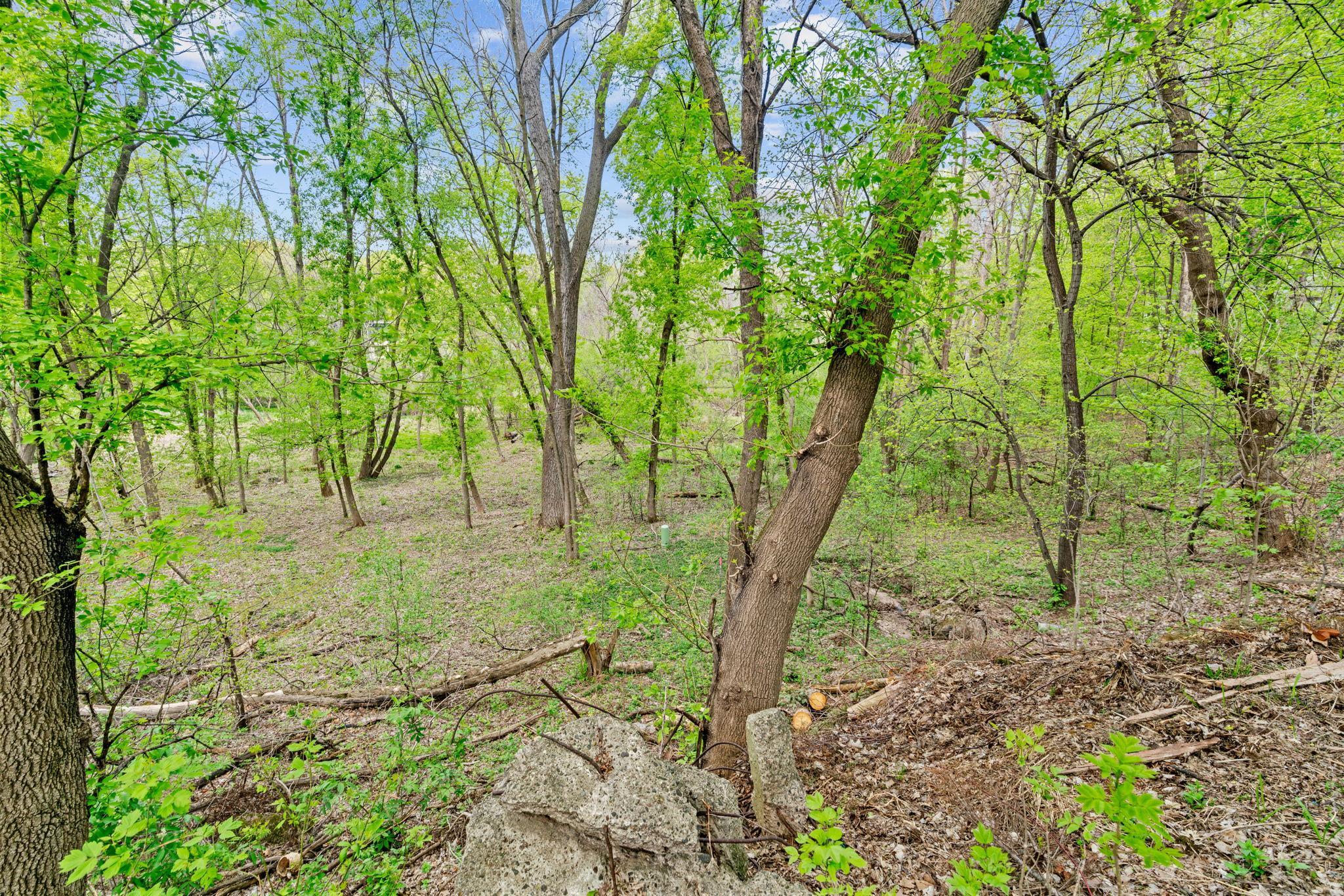 View of Land at 445 Bovey Road, Wayzata MN 55391, Wayzata (8 of 33) - Mike Wilen | Minnesota Team Real Estate