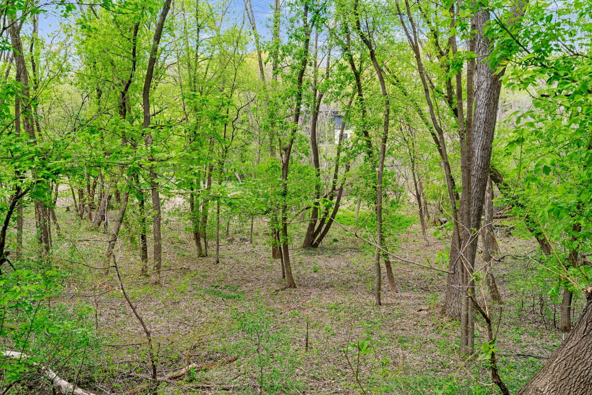 View of Land at 445 Bovey Road, Wayzata MN 55391, Wayzata (7 of 33) - Mike Wilen | Minnesota Team Real Estate