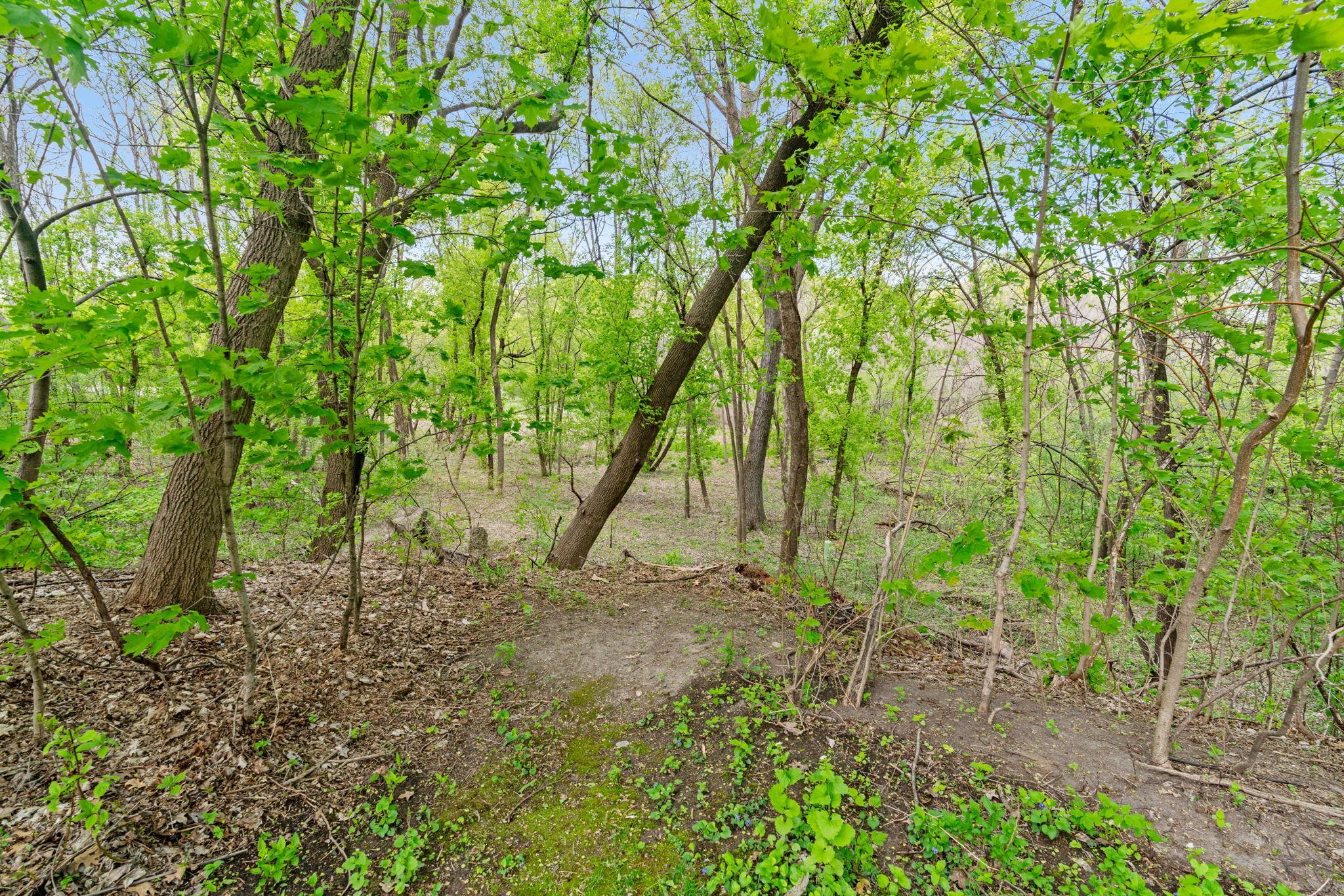 View of Land at 445 Bovey Road, Wayzata MN 55391, Wayzata (5 of 33) - Mike Wilen | Minnesota Team Real Estate