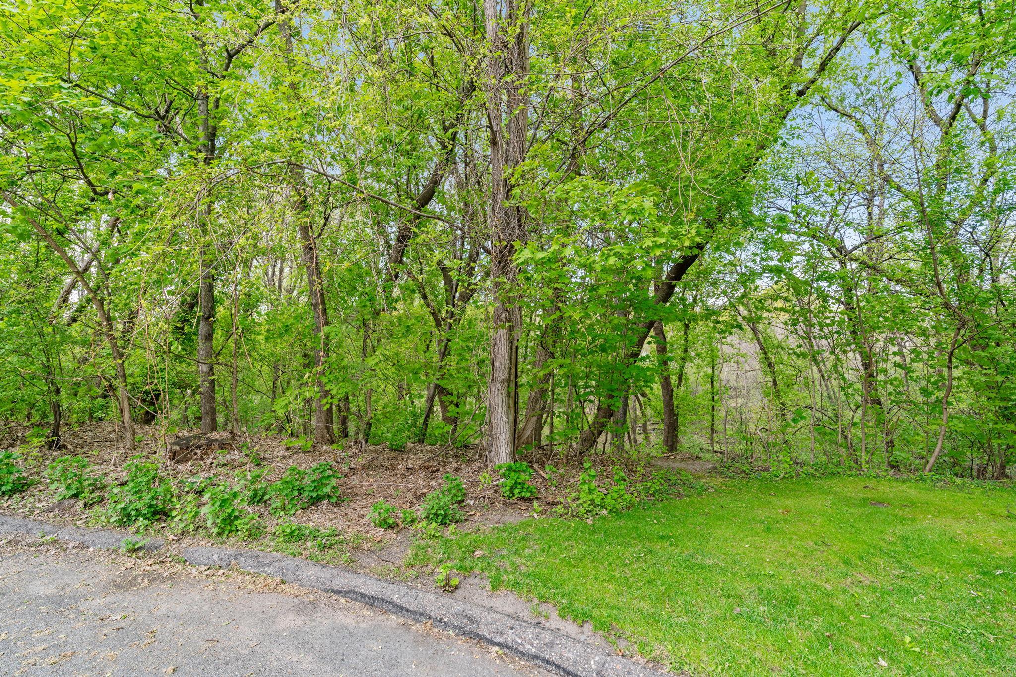 View of Land at 445 Bovey Road, Wayzata MN 55391, Wayzata (2 of 33) - Mike Wilen | Minnesota Team Real Estate