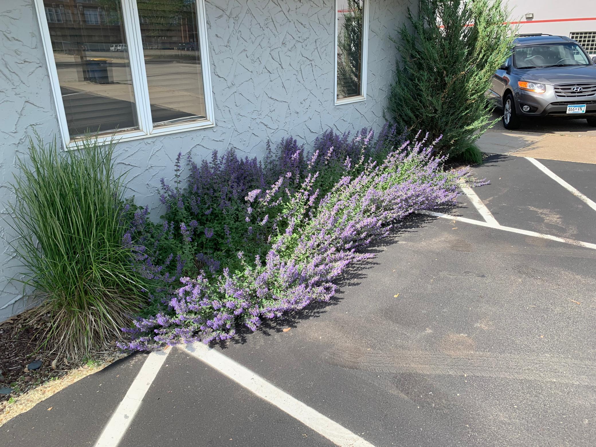 View of Commercial Sale at 206 Scott Street, Shakopee MN 55379, Shakopee (21 of 33) - Mike Wilen | Minnesota Team Real Estate