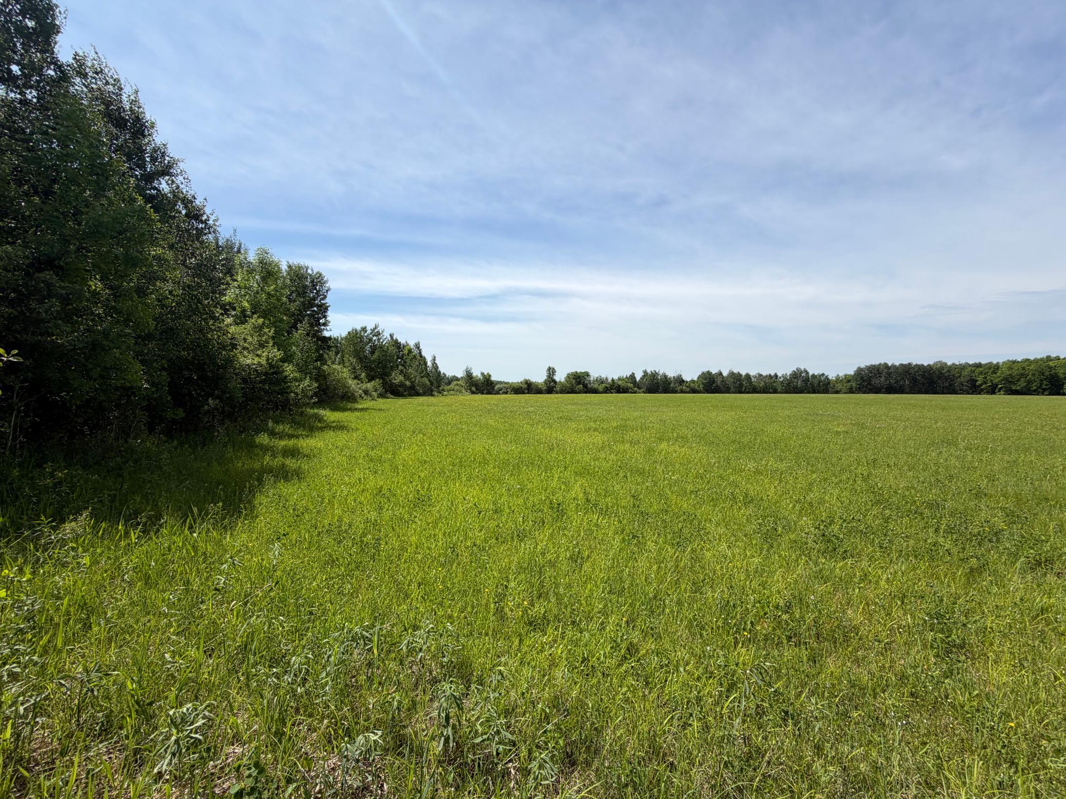 View of Land at TBD-B 180th Street, Milaca MN 56353, Milaca - Mike Wilen | Minnesota Team Real Estate