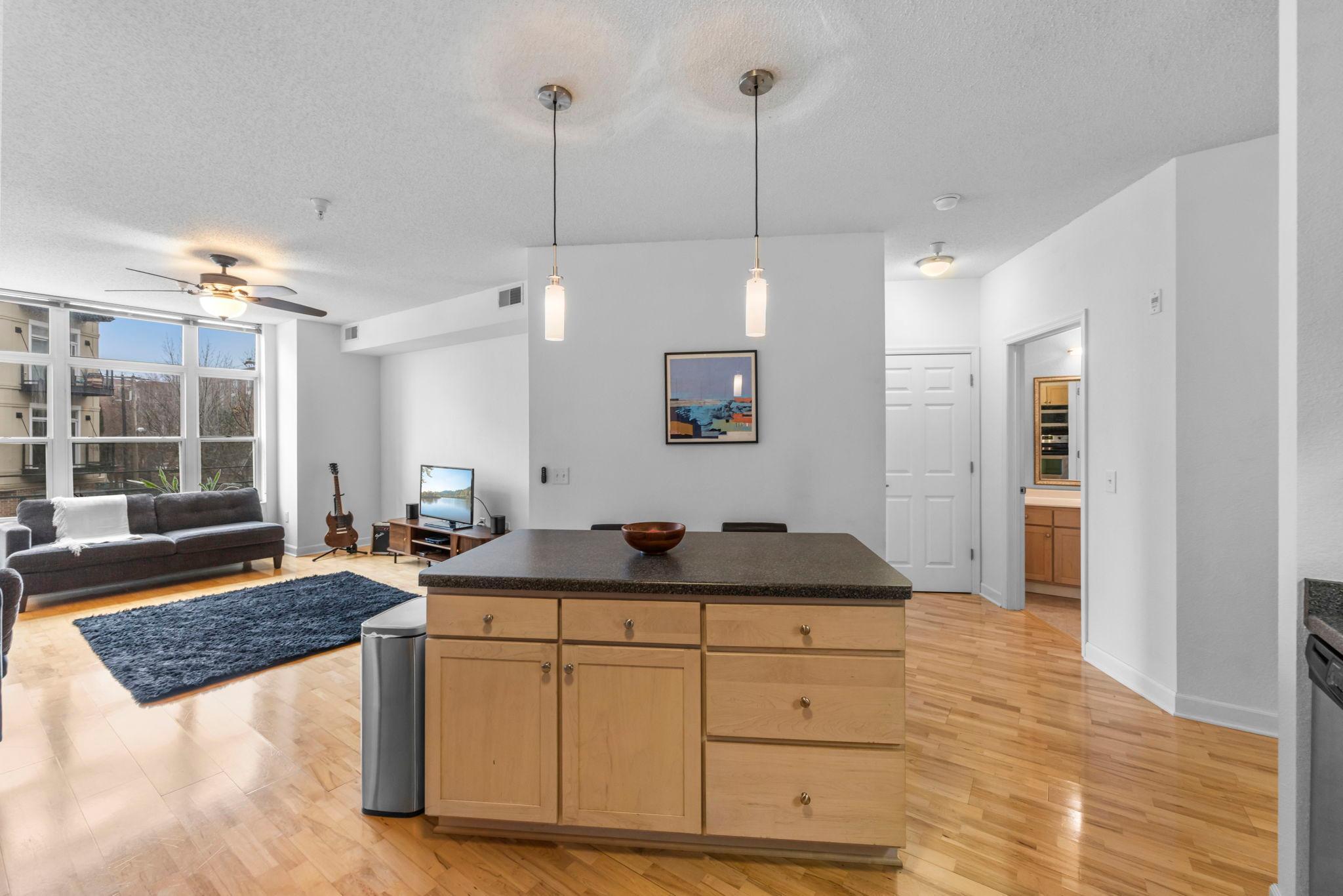 View of Residential at 310 18th Street #201, Minneapolis MN 55404, Minneapolis (12 of 28) - Mike Wilen | Minnesota Team Real Estate