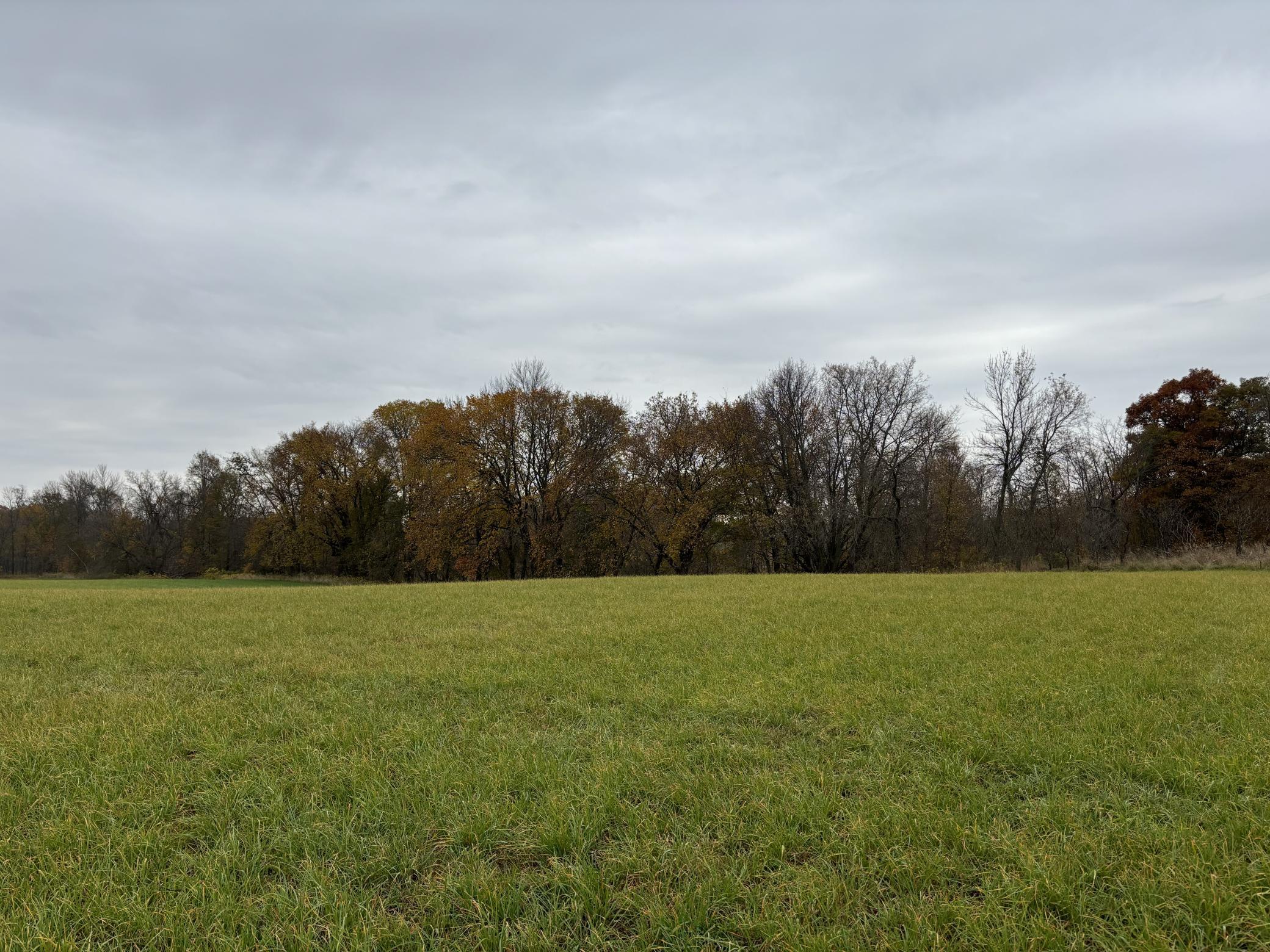 View of Land at TBD Variolite St, Saint Francis MN 55070, Saint Francis (25 of 30) - Mike Wilen | Minnesota Team Real Estate