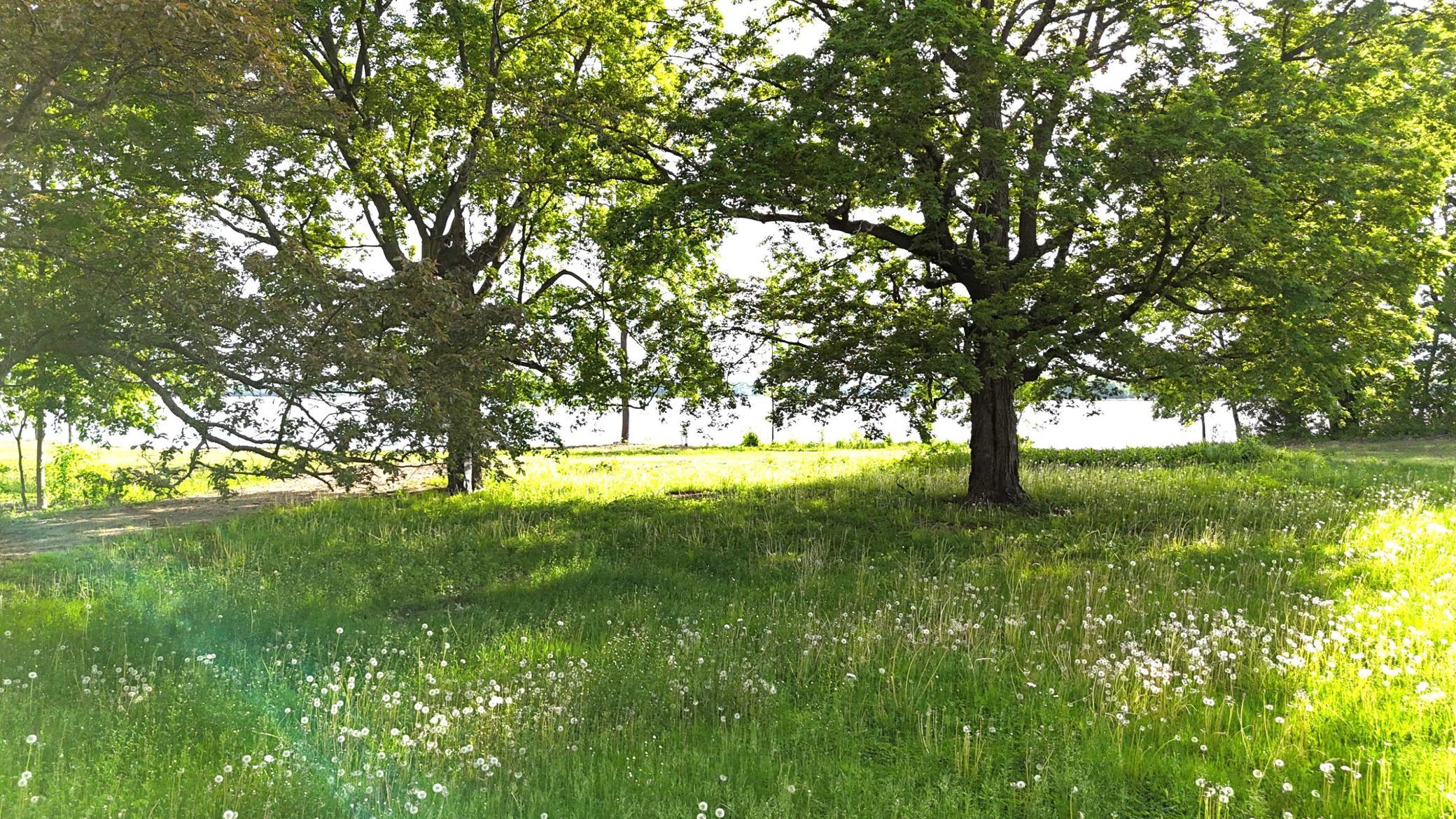 View of Land at 7700 Lake John Drive, Annandale MN 55302, Annandale (4 of 20) - Mike Wilen | Minnesota Team Real Estate