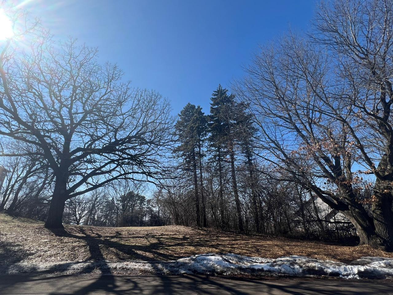View of Land at TBD Oakridge Street, Saint Paul MN 55119, Saint Paul - Mike Wilen | Minnesota Team Real Estate
