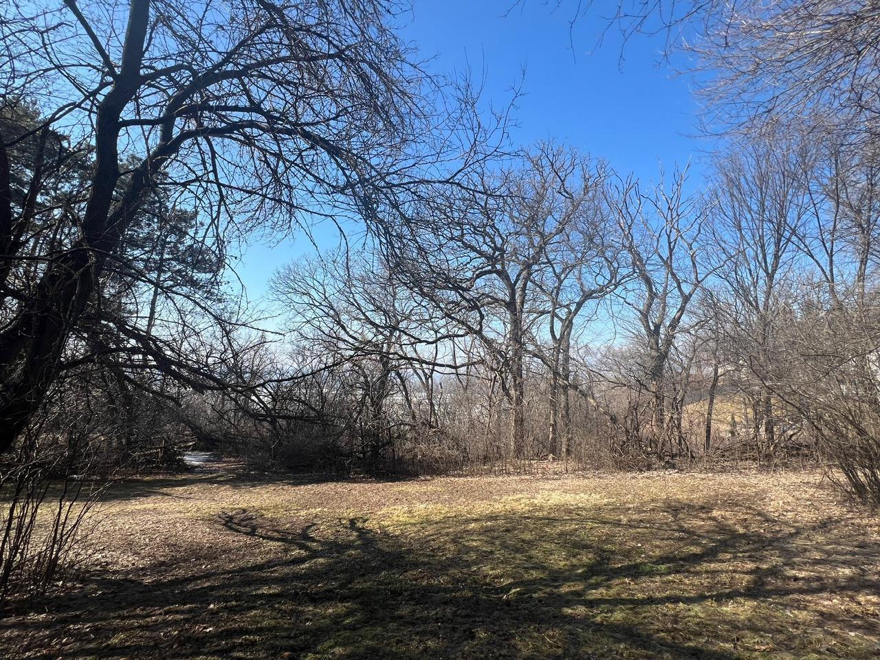 View of Land at TBD Oakridge Street, Saint Paul MN 55119, Saint Paul (3 of 16) - Mike Wilen | Minnesota Team Real Estate