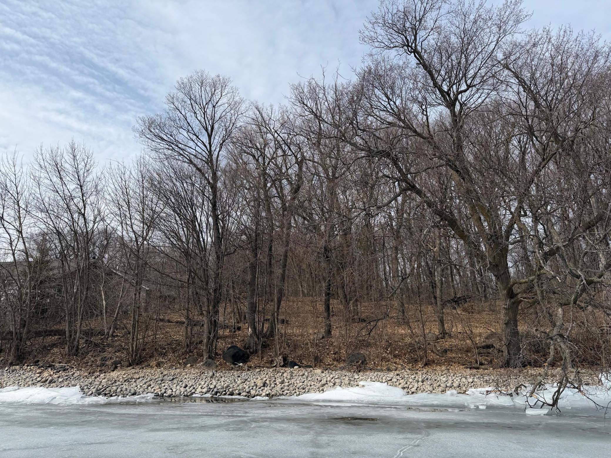 View of Land at Lot 39&40 Earle Brown Drive, Garrison MN 56450, Garrison (4 of 16) - Mike Wilen | Minnesota Team Real Estate
