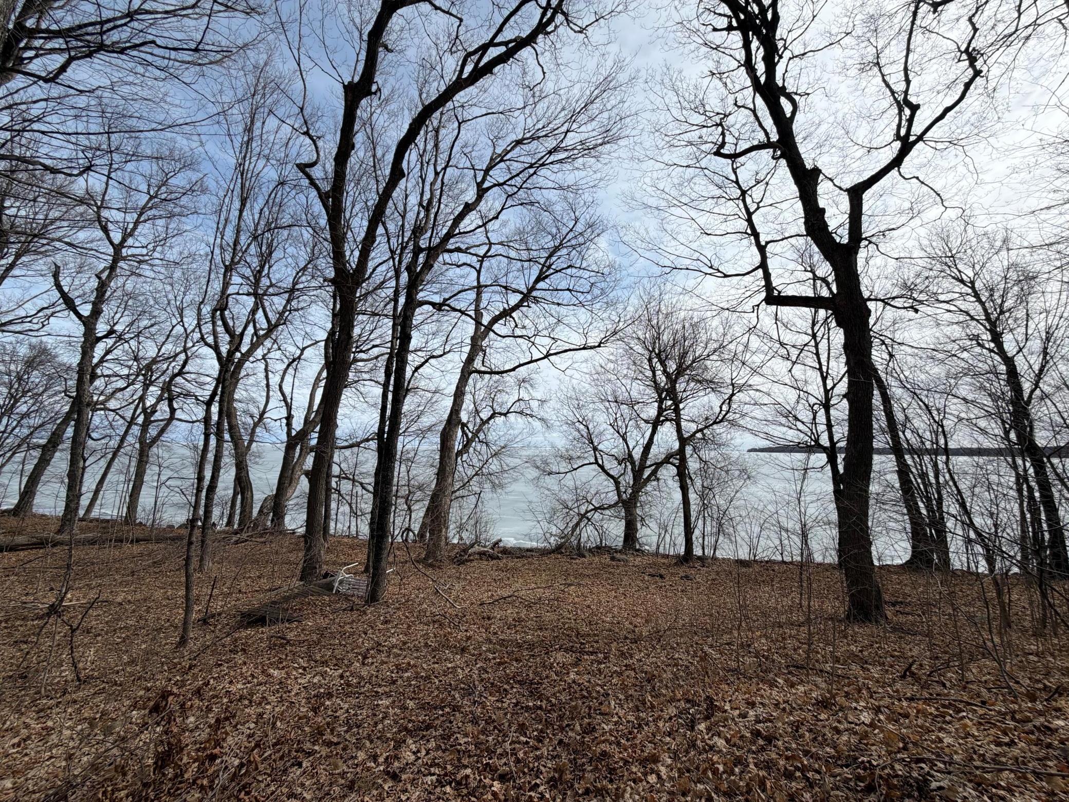 View of Land at Lot 39&40 Earle Brown Drive, Garrison MN 56450, Garrison (3 of 16) - Mike Wilen | Minnesota Team Real Estate