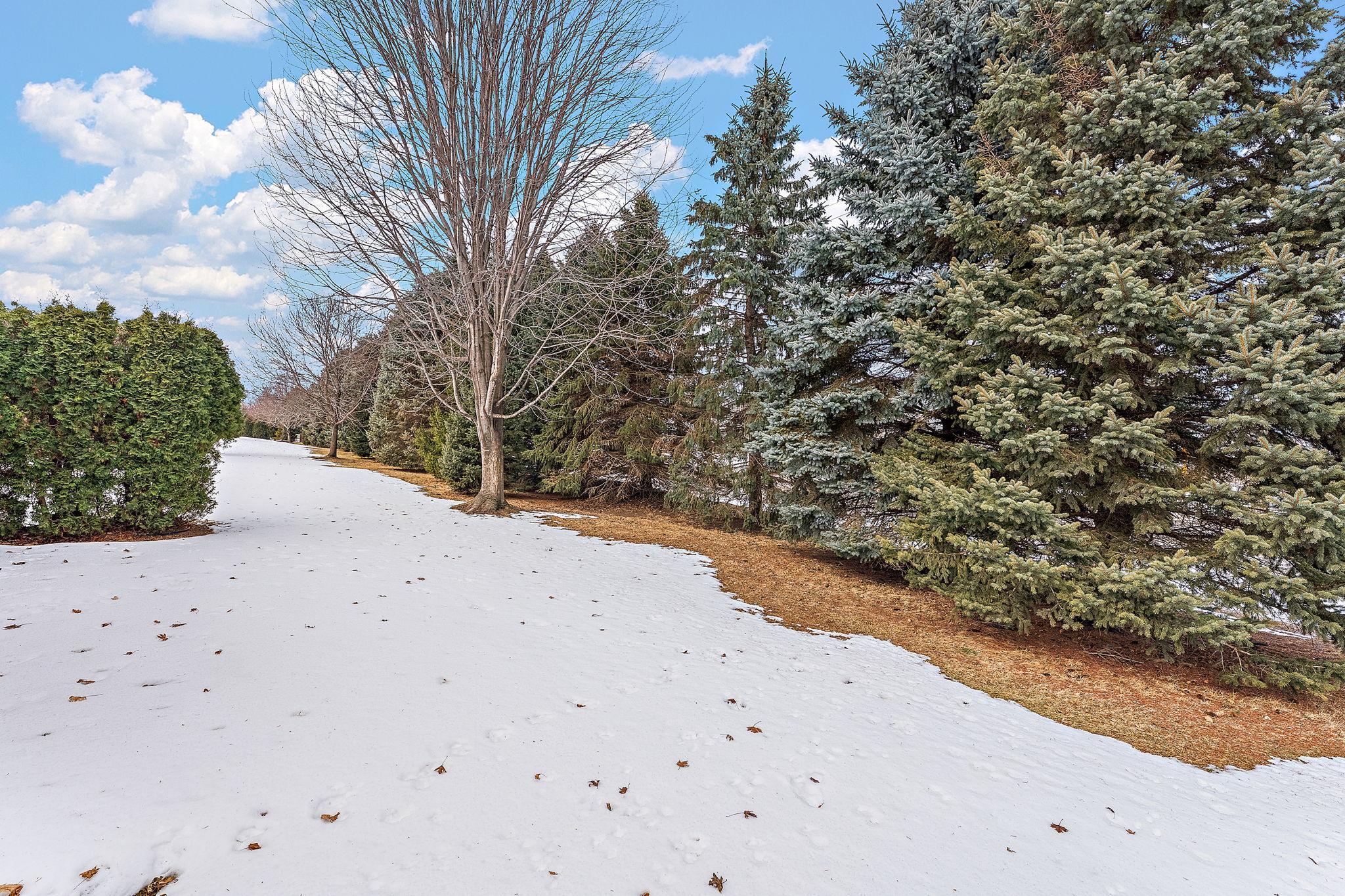 View of Residential at 5568 129th Drive, Hugo MN 55038, Hugo (7 of 39) - Mike Wilen | Minnesota Team Real Estate